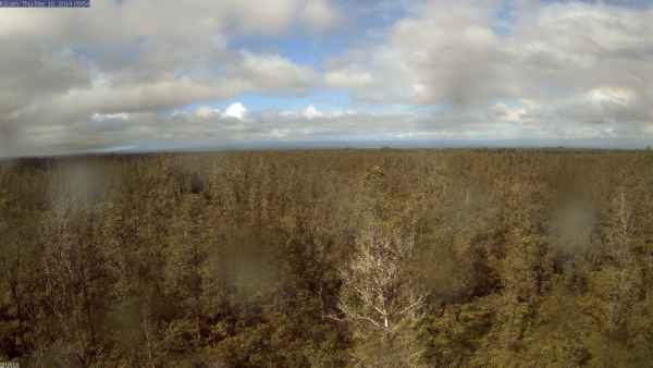 HVO webcam view of up slope of the Marketplace taken Dec 18, 09:54 local time.