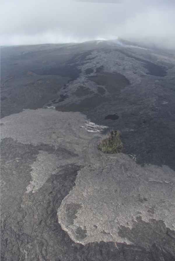 Closeup of the new lava breakout near Puʻu Kahaualeʻ. Courtesy of USGS HVO.